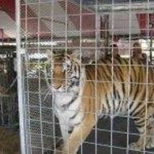 Meet your Posher, Connie